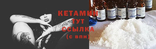 гашик Богданович