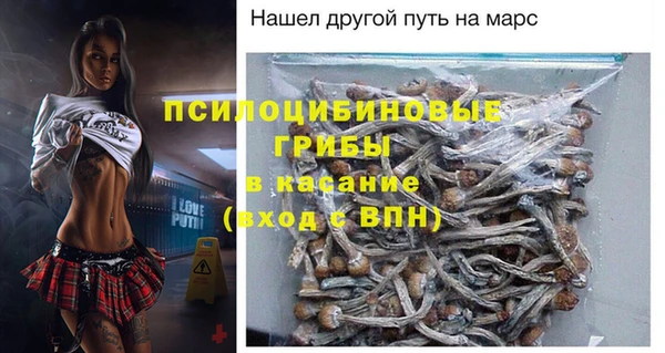 ALPHA PVP Богородицк