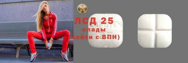 гашик Богданович