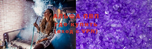 гашик Богданович