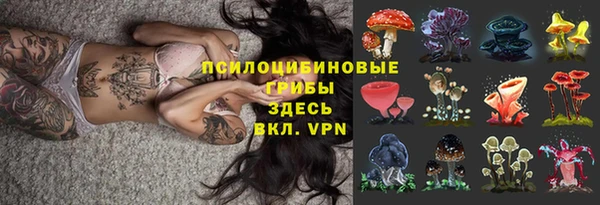 гашик Богданович