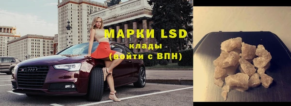 гашик Богданович