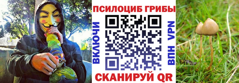 магазин продажи   Армавир  Галлюциногенные грибы Magic Shrooms 